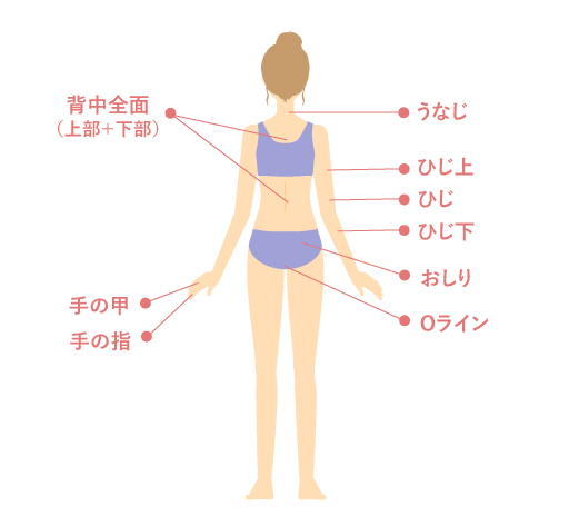 全身脱毛詳細イラスト背面