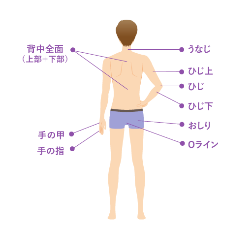 全身脱毛詳細イラスト背面